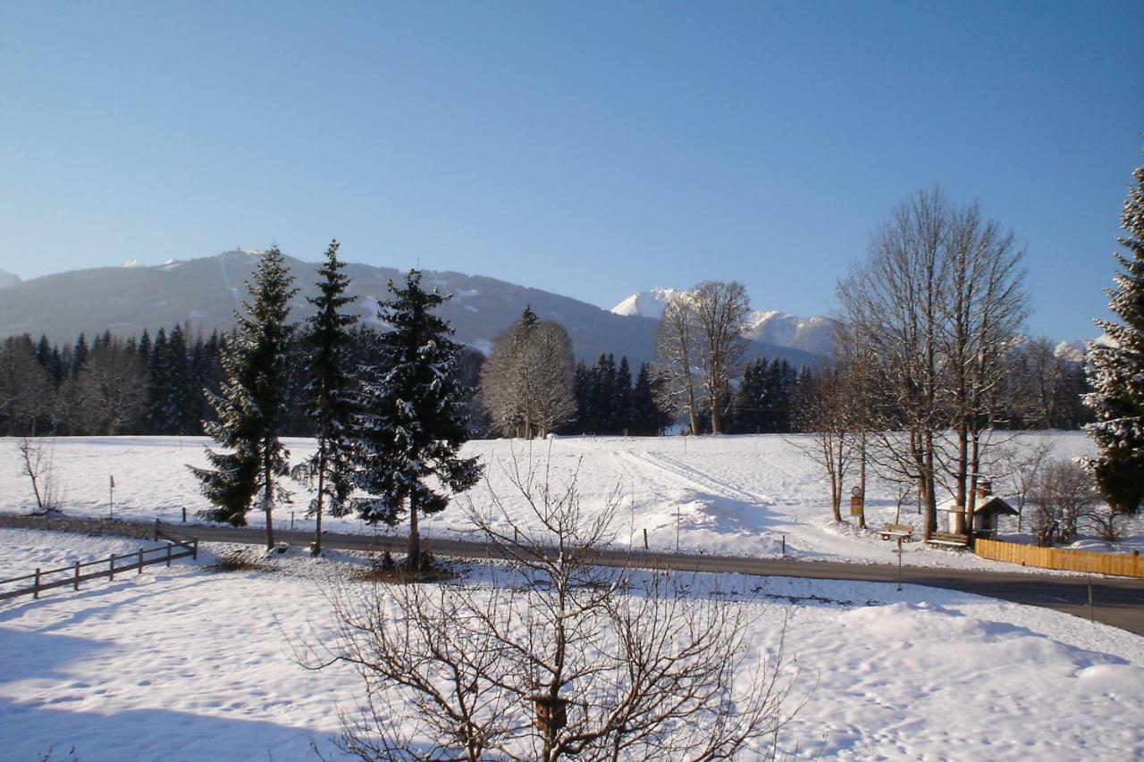 Landhaus Kogler Daire Ramsau am Dachstein Dış mekan fotoğraf